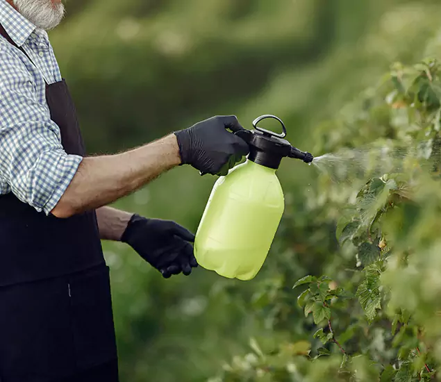 Your Proven Mosquito Treatment Company in Montclair, NJ