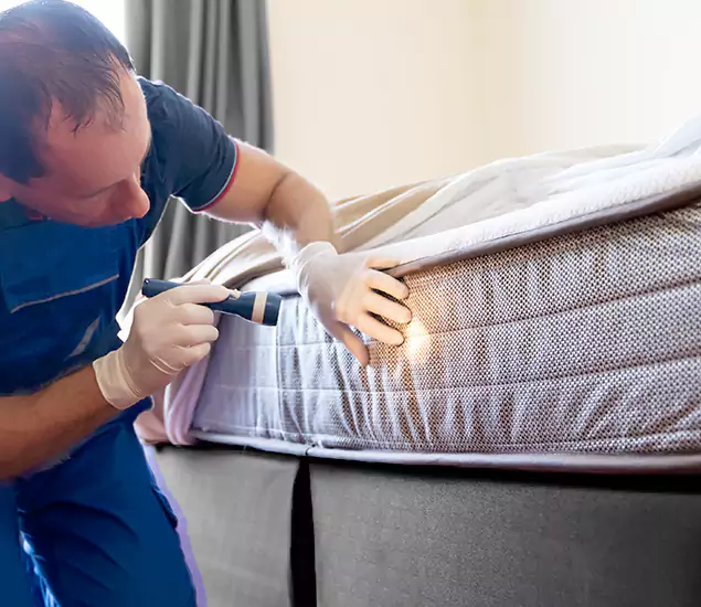 Trusted Bed Bug Cost Experts in Montclair, NJ