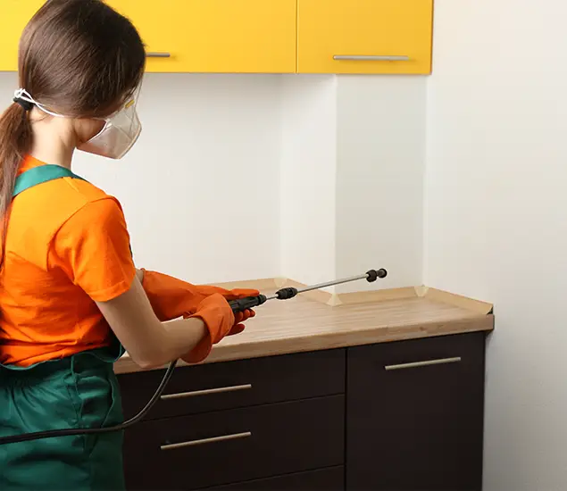 Trusted Bed Bug Pest Control Specialist in Montclair, NJ