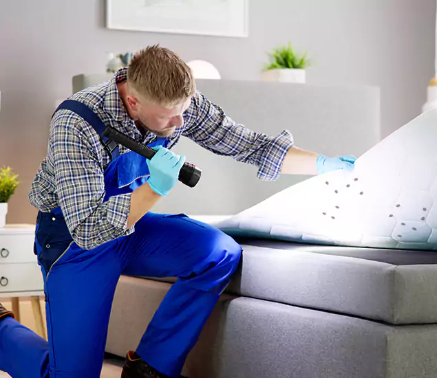 Trusted Bed Bug Remediation Experts in Montclair, NJ