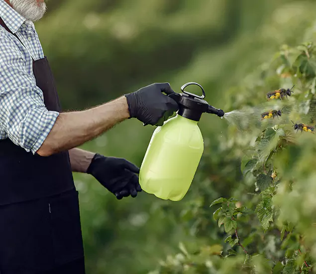 Your Carpenter Bee Service in Montclair, NJ