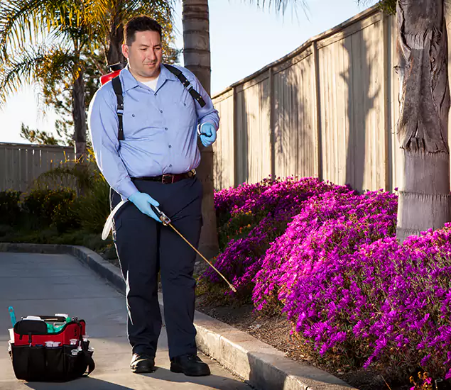 About Our Eco Safe Pest Control Experts in Montclair, NJ