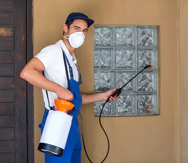 Your Reliable Pest Control in Montclair, NJ