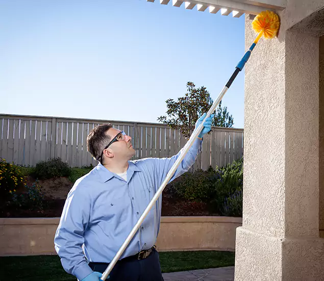 Trusted Experts in Montclair NJ for Formosan Termite Treatment and Black Termite Control