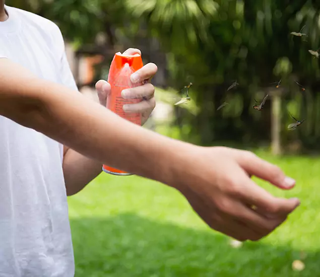 Your Best Indoor Bug Killer Team in Montclair, NJ