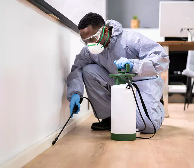 Leading Industrial Pest Control Experts Serving Montclair, NJ