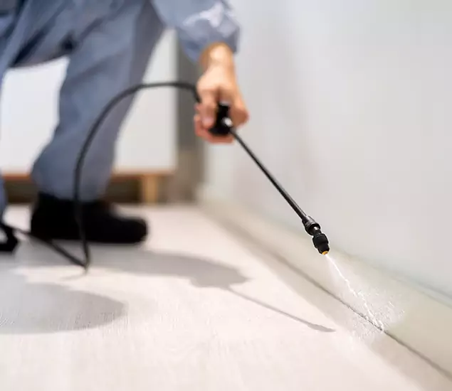 About Our Liquid Termite Treatment Experts in Montclair, NJ