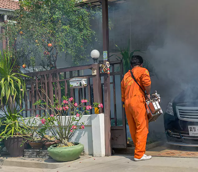 Your Proven Mosquito Fogging Company in Montclair, NJ