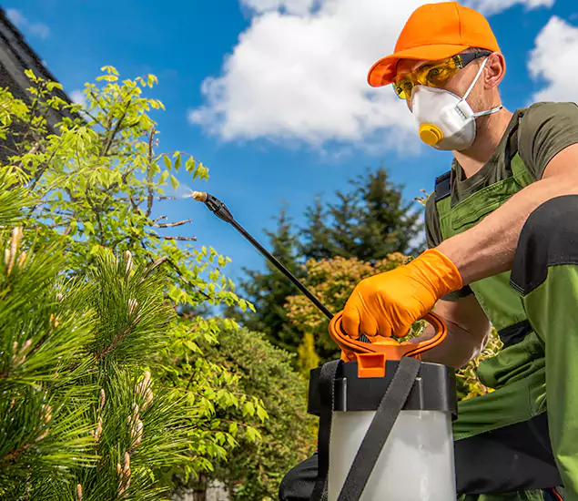 Your Best Bug Spray for Home Team in Montclair, NJ