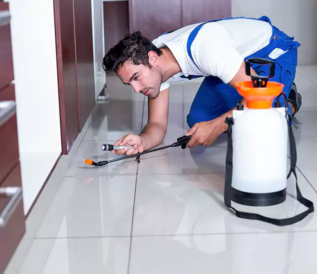 Reliable Professional Mouse Removal: Your Best Mouse Control Company in Montclair, NJ