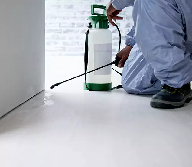 Affordable Pest Control Experts in Montclair, NJ