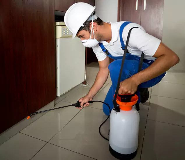 Advanced Termite Pre Treatment Experts in Montclair, NJ