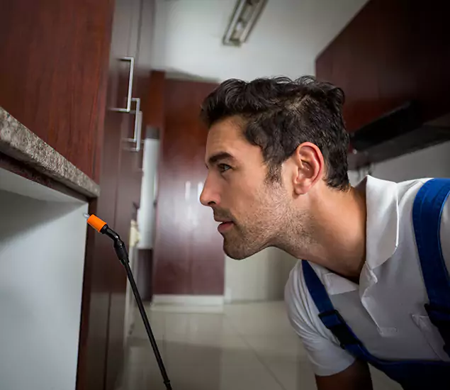 Expert Rodent in Attic Removal: Your Proven Pest Specialists in Montclair, NJ