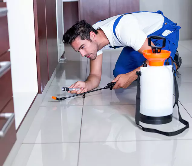 Advanced Slab Termite Treatment Experts You Can Trust&nbsp;in Montclair, NJ