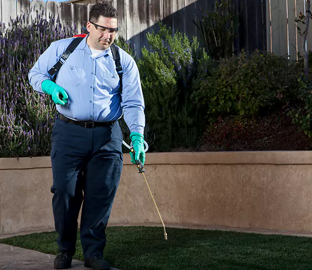 Reliable Termite Barrier Treatment Experts in Montclair, NJ