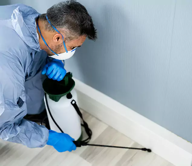 Reliable Termite Cost Experts in Montclair, NJ
