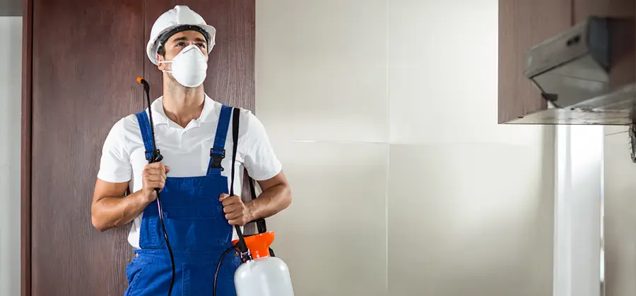 Per Room Bed Bug Cost in Montclair