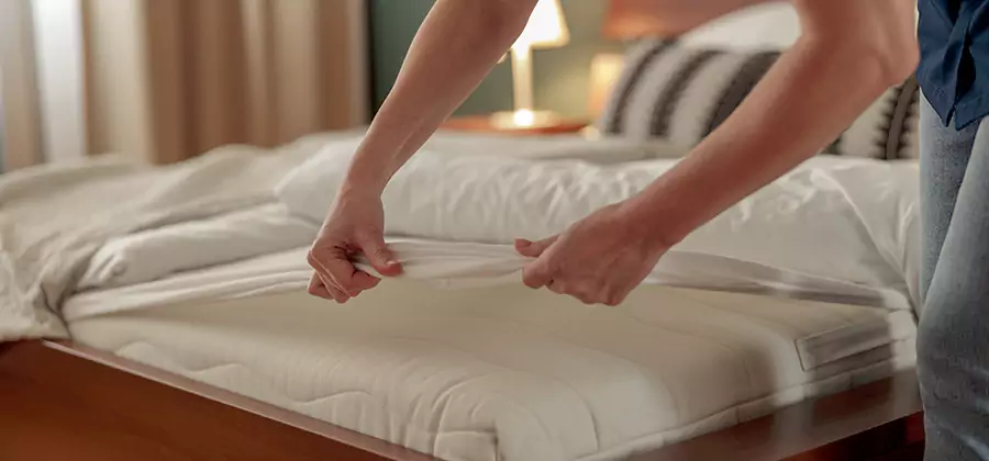 Bed Bug Extermination Services in Montclair