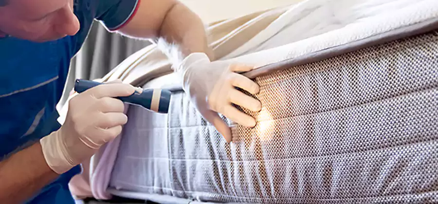 Residential Bed Bug Treatment Cost in Montclair
