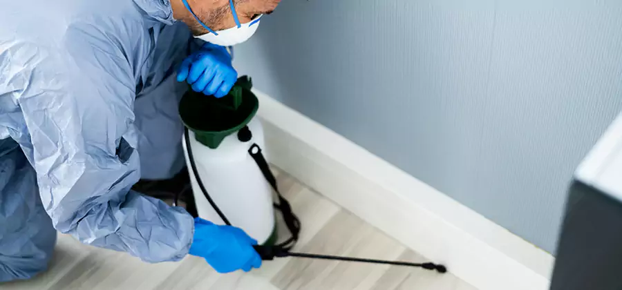 Fumigate Apartment Roaches in Montclair