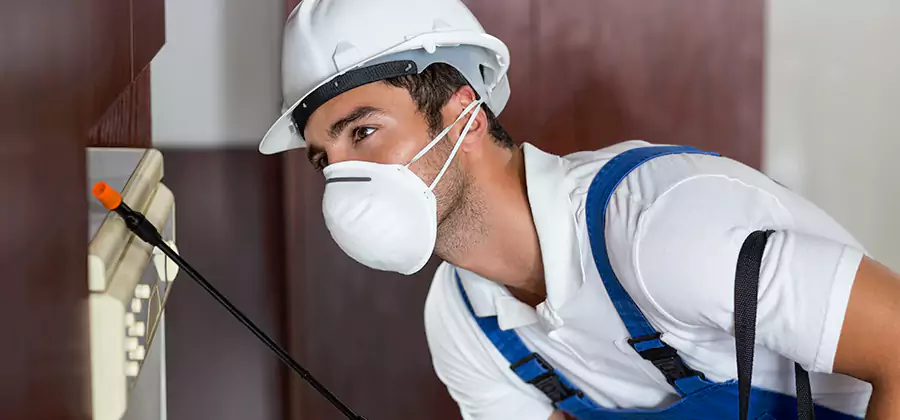 Injection Foam Treatment for Drywood Termites in Montclair