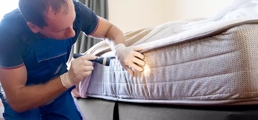 24 Hour Bed Bug Pest Control in Montclair