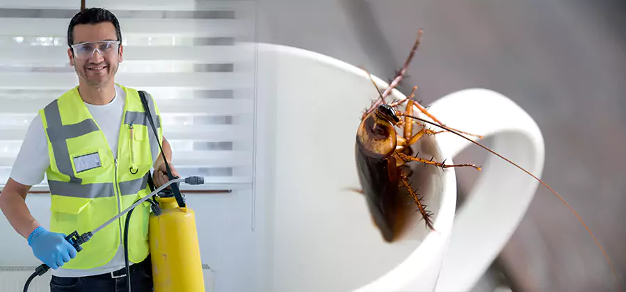 German Roach Infestation Treatment Montclair