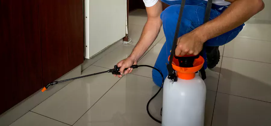 Indoor Mosquito Treatment in Montclair