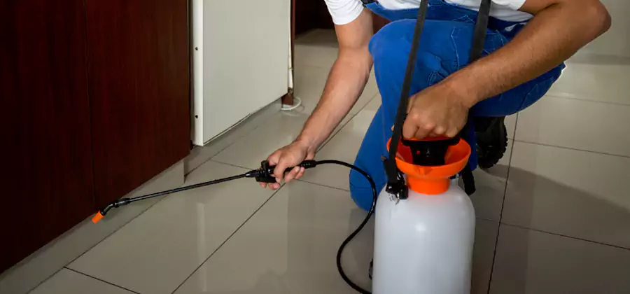 Indoor Insect Killer Solutions in Montclair