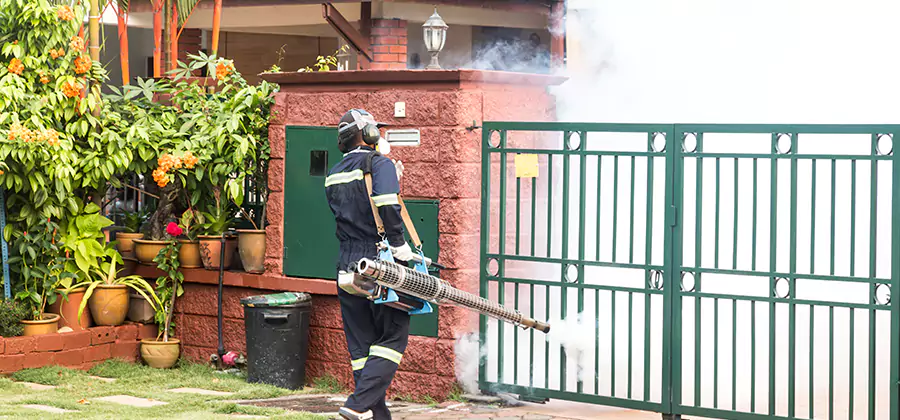 Backyard Mosquito Foggers Service in Montclair