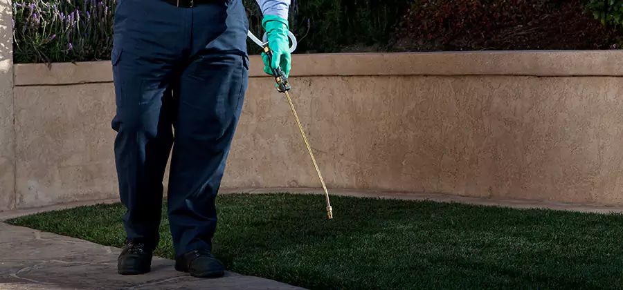 Soil Treatment for New Construction Termites in Montclair