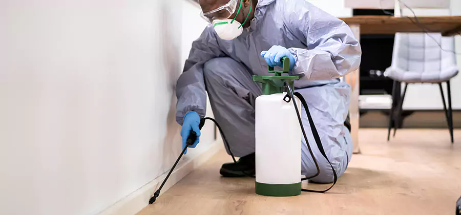 No Tent Termite Extermination With Electric Tool in Montclair