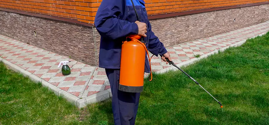 Non Toxic Termite Treatment in Montclair