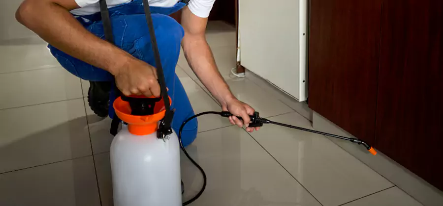 One Time Termite Control in Montclair