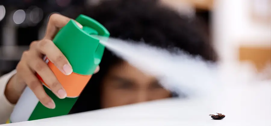 Child Safe Bed Bug Treatment in Montclair