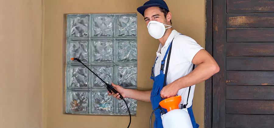 Physical Termite Barrier Installation in Montclair
