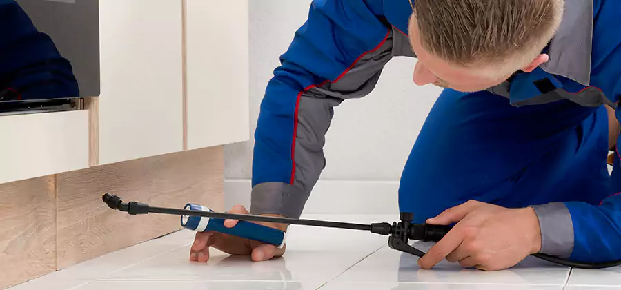 Moisture Treatment For Termite Control Service in Montclair