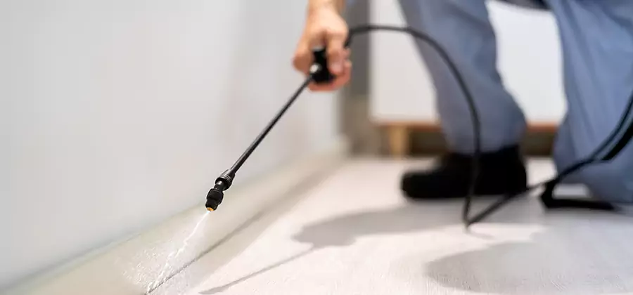 Direct Termite Injection Treatment in Montclair