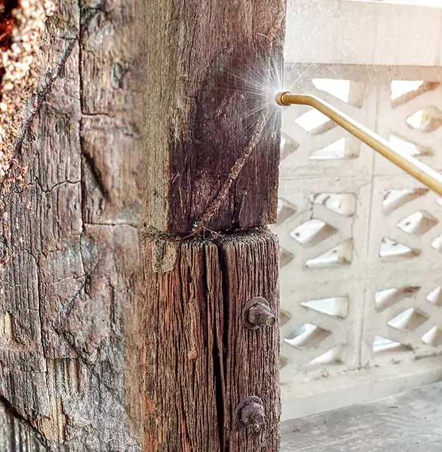Why Choose Montclair Pest Control Pro for Attic Termite Treatment in Montclair, NJ?