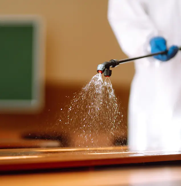 Why Choose Montclair Pest Control Pro for Bed Bug Chemical Treatment in Montclair, NJ?