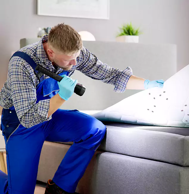 Why Choose Montclair Pest Control Pro For Bed Bug Heat Treatment in Montclair, NJ?