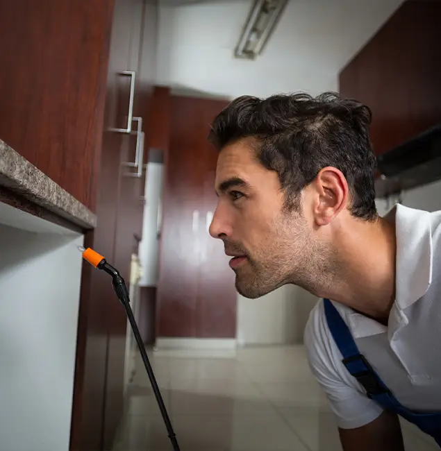 Why Choose Montclair Pest Control Pro for Bed Bug Removal Cost in Montclair, NJ?