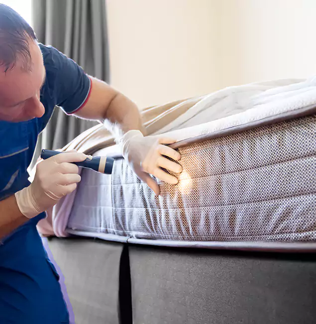 Why Choose Montclair Pest Control Pro for Bed Bug Services in Montclair, NJ?