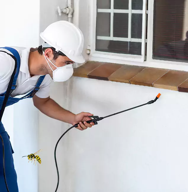 Why Montclair Property Owners Choose Montclair Pest Control Pro for Bee Nest Removal?