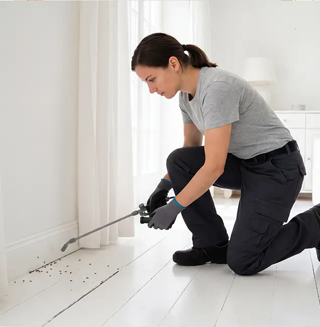 Why Montclair, NJ Property Owners Trust Montclair Pest Control Pro for Fire Ant Control?