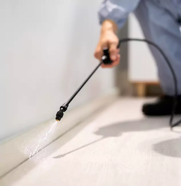 Why Choose Montclair Pest Control Pro for Termite Treatment in Montclair, NJ?