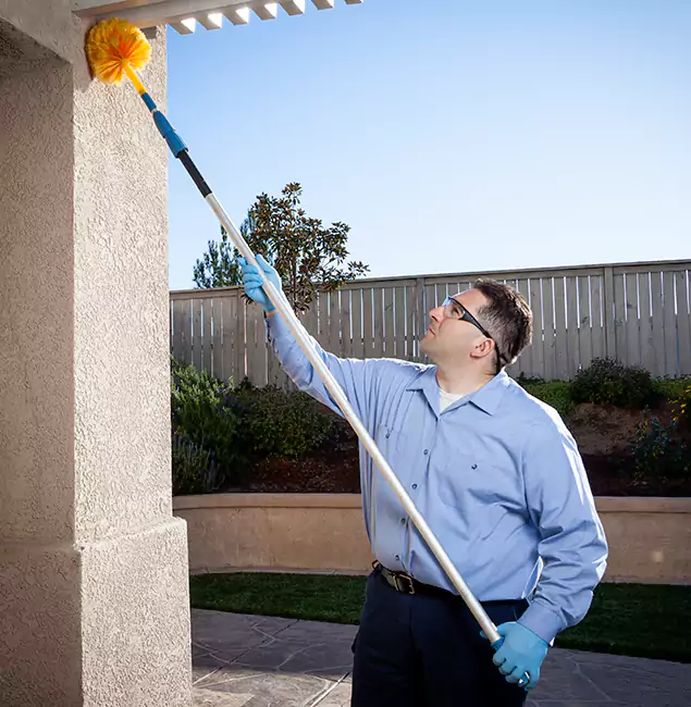 Why Choose Montclair Pest Control Pro for Foundation Termite Treatment in Montclair, NJ?