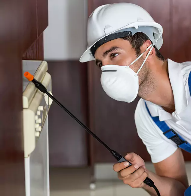 Why Montclair Homeowners Rely on Montclair Pest Control Pro for Tick Treatment?