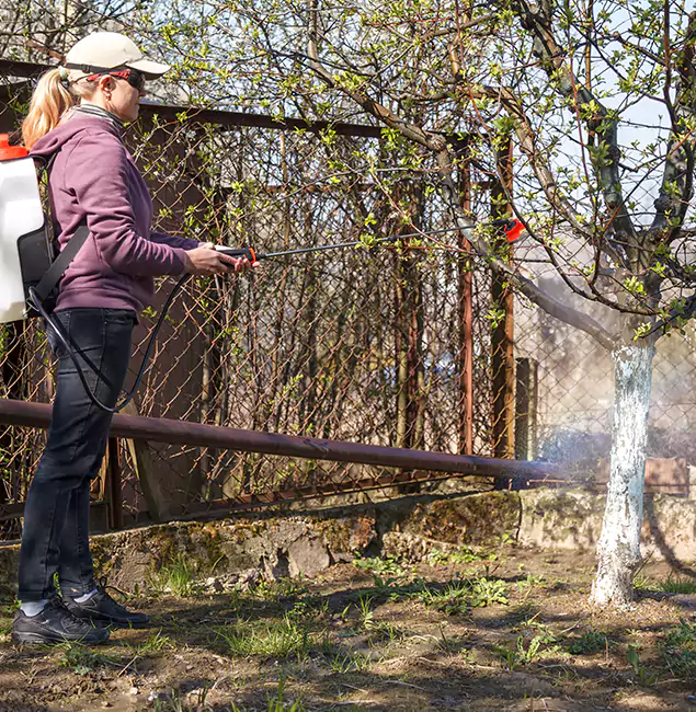 Why Montclair Homeowners Choose Montclair Pest Control Pro for Mosquito Abatement?