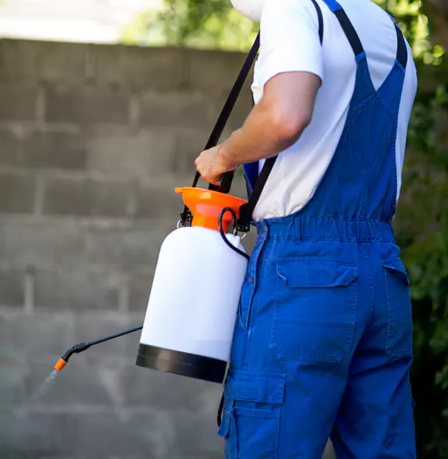Why Montclair Homeowners Rely on Montclair Pest Control Pro for Mosquito Control?